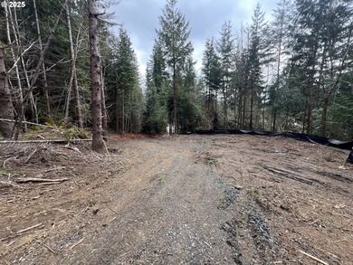Prime 7.74-Acre Development Opportunity - Ideal for Investors! - photo 13