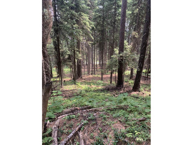Welcome to your own slice of Idaho paradise! This nearly 3-acre - photo 14