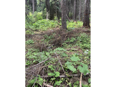 Welcome to your own slice of Idaho paradise! This nearly 3-acre - photo 15