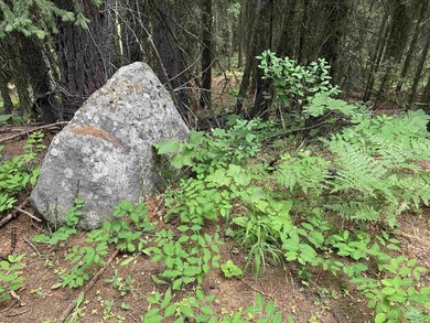 Welcome to your own slice of Idaho paradise! This nearly 3-acre - photo 16