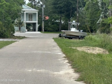 This property is right off the river and in a beautiful spot - photo 6