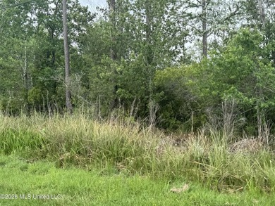 This property is right off the river and in a beautiful spot - photo 9