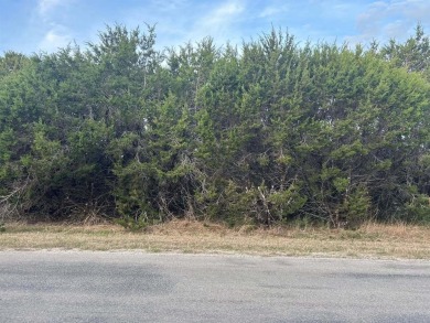 Lake Whitney Lot For Sale in Morgan Texas