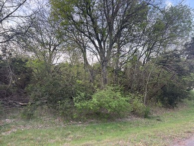 Great building site. Level lot with cedars. The Canyons has its - photo 2