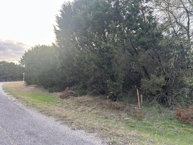Great building site. Level lot with cedars. The Canyons has its - photo 3