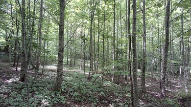 Additional listing photo 2