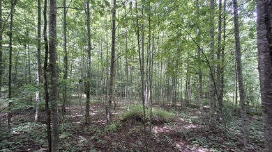 Additional listing photo 4