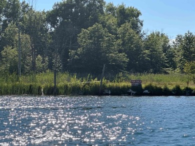 St Clair River Lot For Sale in Harsens Island Michigan