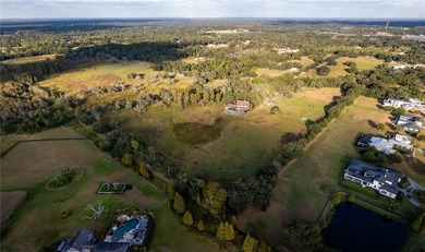 **Prime Development Opportunity - 82.17 Acres in Thonotosassa - photo 2