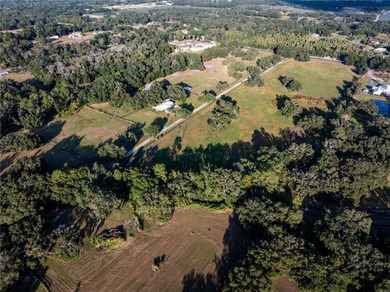 **Prime Development Opportunity - 82.17 Acres in Thonotosassa - photo 4