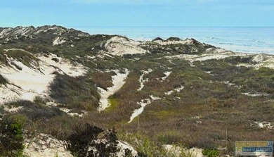 Land In Paradise - Investment Opportunity - Tract 55: Gulf to - photo 19
