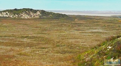Land In Paradise - Investment Opportunity - Tract 55: Gulf to - photo 23