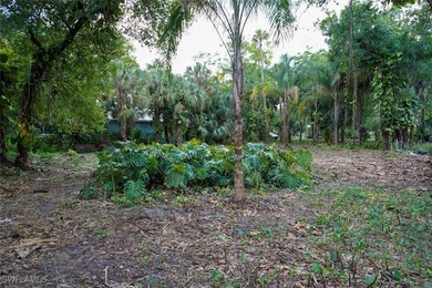 Caloosahatchee River Lot For Sale in Labelle Florida