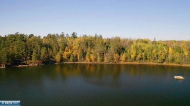 Lake Acreage For Sale in Cook, Minnesota