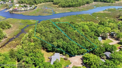 Don't miss this rare opportunity to own acreage and waterfront - photo 2