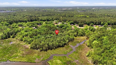 Don't miss this rare opportunity to own acreage and waterfront - photo 5