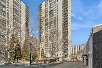 Lake Michigan - Cook County Condo For Sale in Chicago Illinois