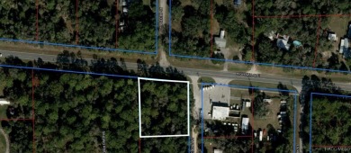 Withlacoochee River Lot For Sale in Inglis Florida