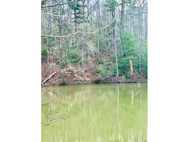 Shuler Lake  Lot For Sale in Robbinsville North Carolina