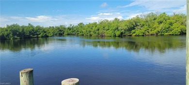 Bonita Lakes Area Home For Sale in Bonita Springs Florida