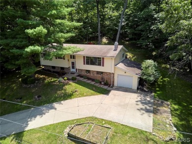 Lake Home For Sale in Marthasville, Missouri