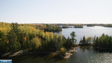 Lake Acreage For Sale in Cook, Minnesota