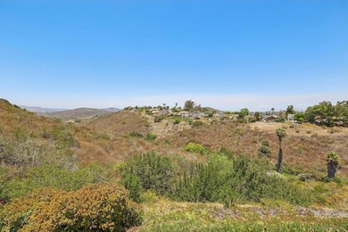 AMAZING CANYON VIEWS | QUIET CUL-DE-SAC | SINGLE-STORY HOME | 9 - photo 46