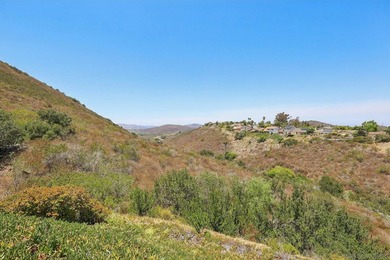 AMAZING CANYON VIEWS | QUIET CUL-DE-SAC | SINGLE-STORY HOME | 9 - photo 47