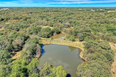 Lake Acreage For Sale in Sadler, Texas