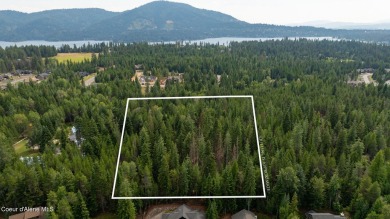 Lake Acreage For Sale in Hayden, Idaho