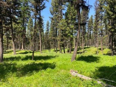Lake Acreage For Sale in Seeley Lake, Montana