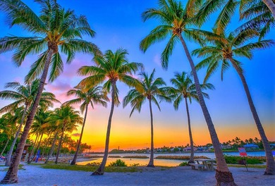 Nestled on nearly one acre of pristine riverfront, this - photo 35