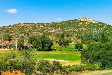 24321 Barona Mesa Rd - photo 45