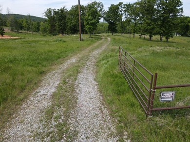 Rare opportunity to own 12.07 AC of rolling Ozark land w/a Fay - photo 2