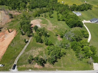 Rare opportunity to own 12.07 AC of rolling Ozark land w/a Fay - photo 4