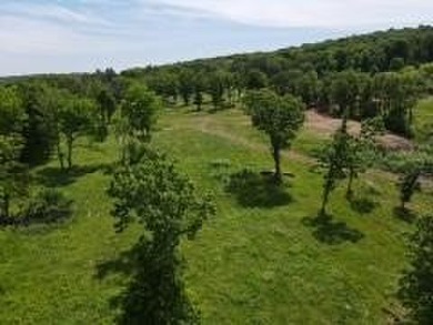 Rare opportunity to own 12.07 AC of rolling Ozark land w/a Fay - photo 5