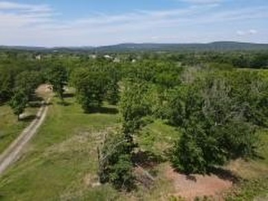 Rare opportunity to own 12.07 AC of rolling Ozark land w/a Fay - photo 6
