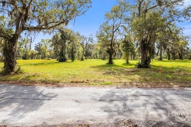 Welcome to Lot 24 Bermuda Bluff! Three-fourths of an acre (.75) - photo 3