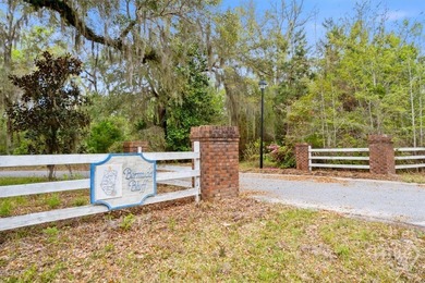 Welcome to Lot 24 Bermuda Bluff! Three-fourths of an acre (.75) - photo 4