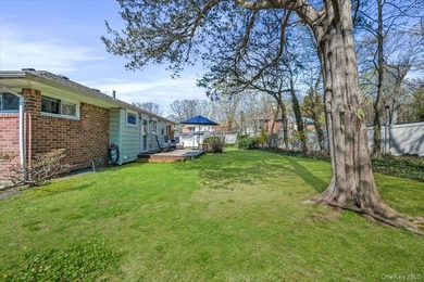 Just right on every front: super tasteful, renovated 3 bedroom 1 - photo 17
