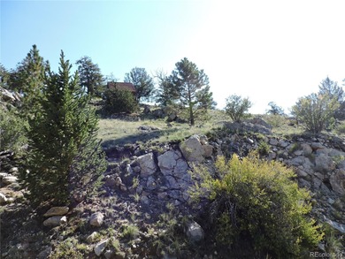 (private lake, pond, creek) Acreage For Sale in Hartsel Colorado