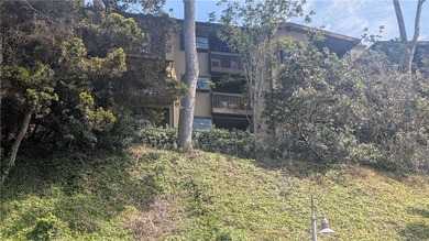 Location, Location, Location - a place to call home in La Jolla - photo 54