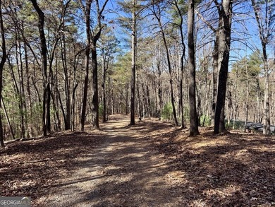 Ellijay, GA Cabin Resort Development on 60 Acres | North Georgia - photo 15