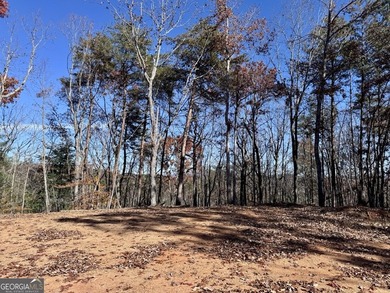 Ellijay, GA Cabin Resort Development on 60 Acres | North Georgia - photo 17