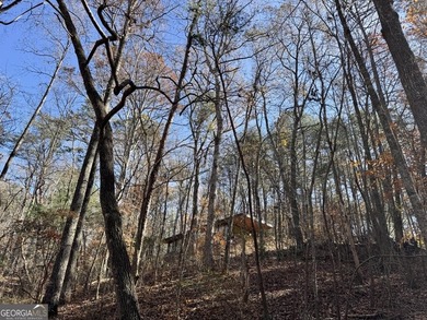 Ellijay, GA Cabin Resort Development on 60 Acres | North Georgia - photo 20