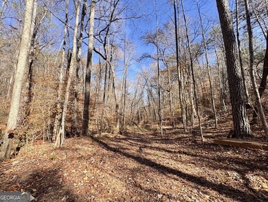 Ellijay, GA Cabin Resort Development on 60 Acres | North Georgia - photo 21