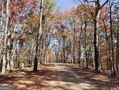 Ellijay, GA Cabin Resort Development on 60 Acres | North Georgia - photo 23