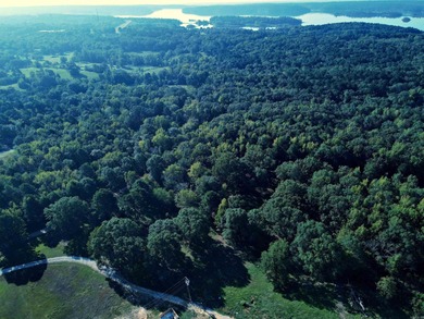 CLOSE TO LAKE DEGRAY! Nice wooded acreage off Hwy 7. Just a hop - photo 4