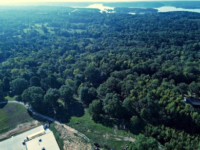 CLOSE TO LAKE DEGRAY! Nice wooded acreage off Hwy 7. Just a hop - photo 5