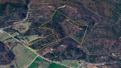 Ellijay, GA Cabin Resort Development on 60 Acres | North Georgia - photo 25
